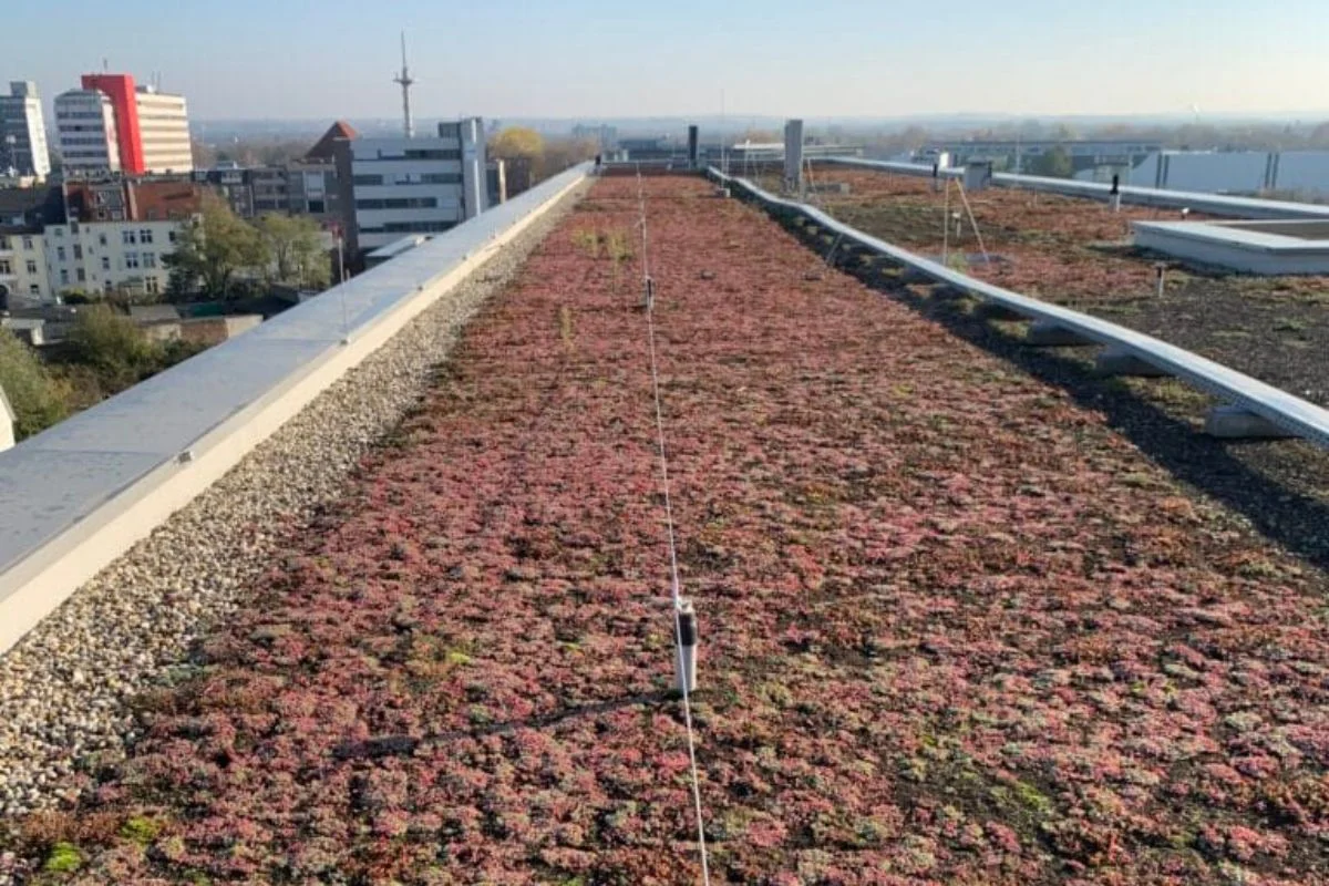 Seilsicherungssysteme zur Absturzsicherung